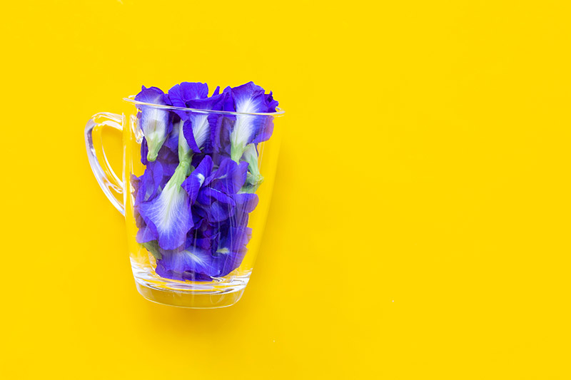 คิ้ว คิ้ว