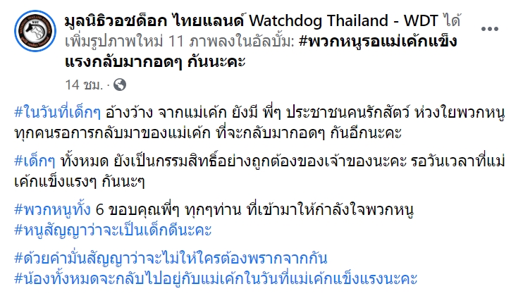 เจ้าภริดา หมาพิตบูล เจ้าภริดา หมาพิตบูล