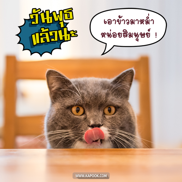 ดูดวงรายวัน ดูดวงรายวัน
