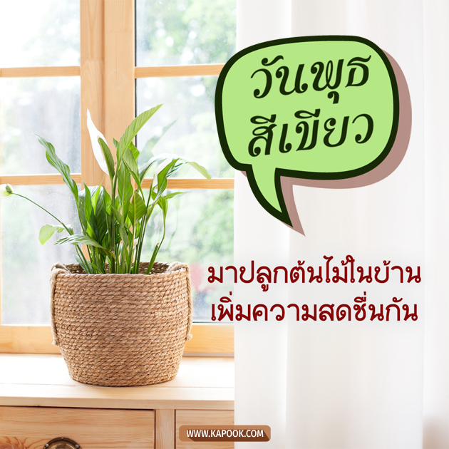 ดูดวงรายวัน ดูดวงรายวัน