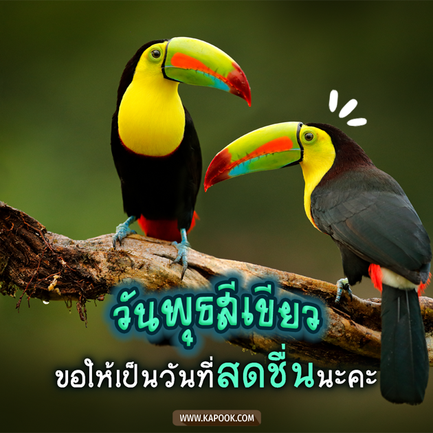 ดูดวงรายวัน ดูดวงรายวัน