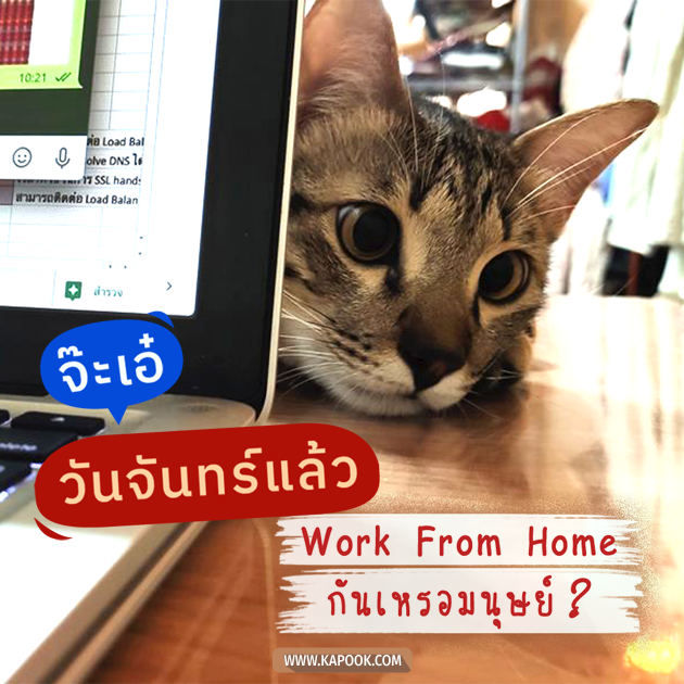 ดูดวงรายวัน ดูดวงรายวัน