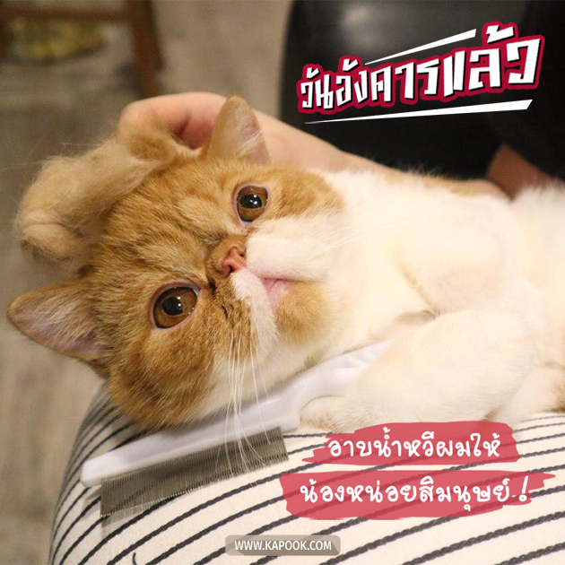 ดูดวงรายวัน ดูดวงรายวัน