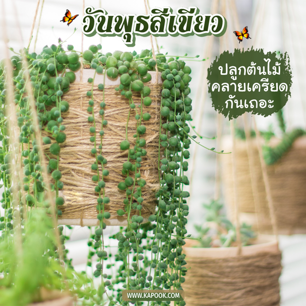 ดูดวงรายวัน ดูดวงรายวัน