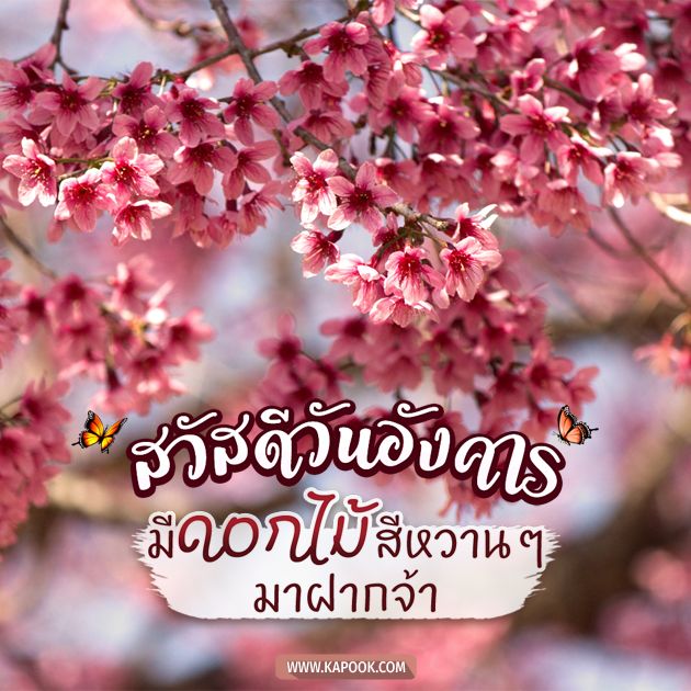 ดูดวงรายวัน ดูดวงรายวัน