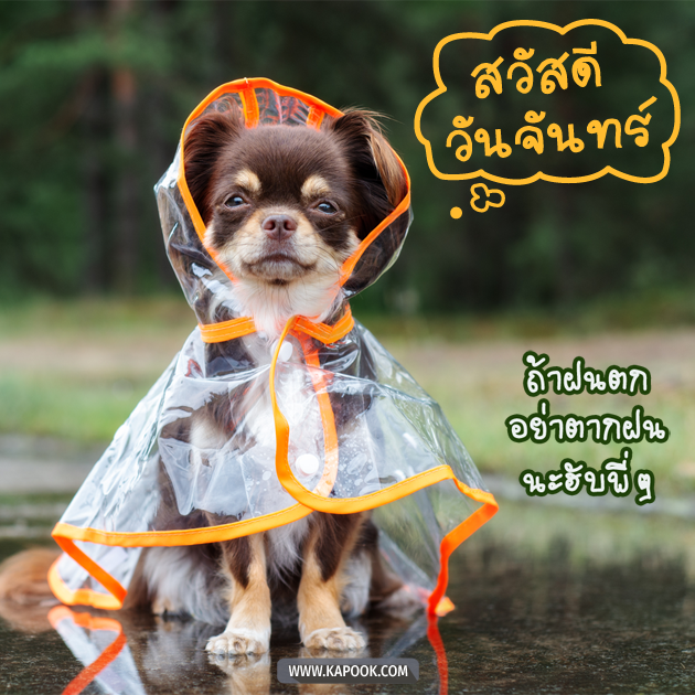 ดูดวงรายวัน ดูดวงรายวัน