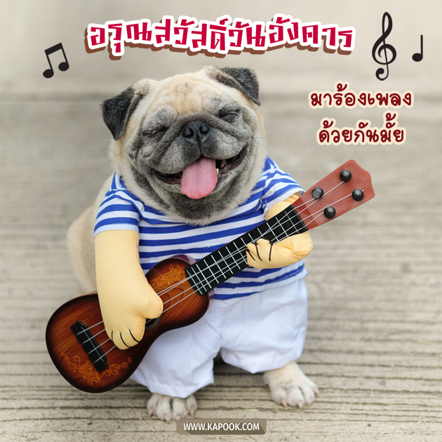 ดูดวงรายวัน ดูดวงรายวัน