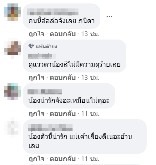 เจ้าภริดา หมาพิตบูล เจ้าภริดา หมาพิตบูล