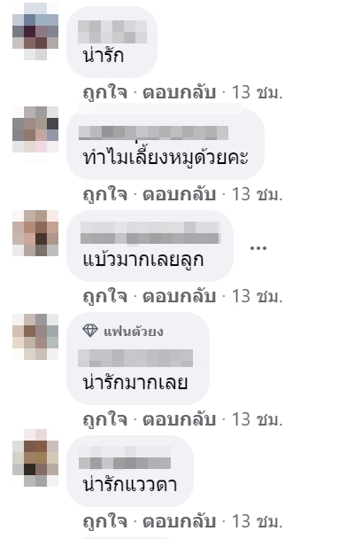 เจ้าภริดา หมาพิตบูล เจ้าภริดา หมาพิตบูล