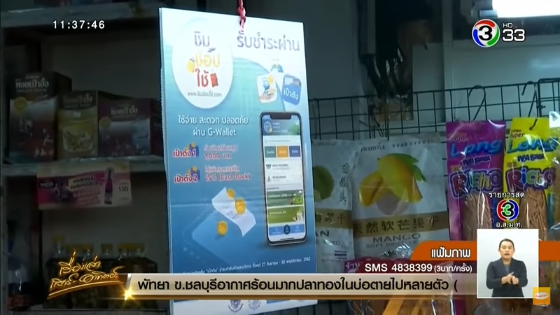 ชิมช้อปใช้ ชิมช้อปใช้