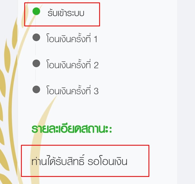 เยียวยาเกษตรกร เยียวยาเกษตรกร