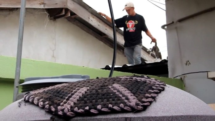 แมวตายเกลื่อนหมู่บ้าน แมวตายเกลื่อนหมู่บ้าน