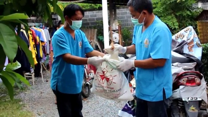 แมวตายเกลื่อนหมู่บ้าน แมวตายเกลื่อนหมู่บ้าน