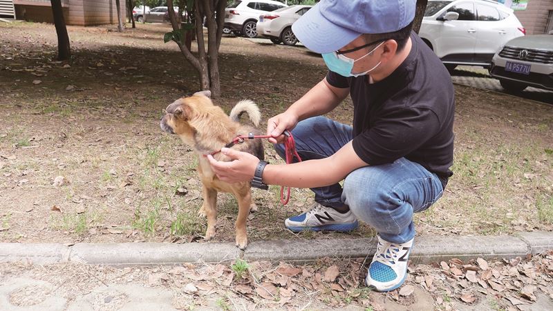 หมารอเจ้าของ หมารอเจ้าของ