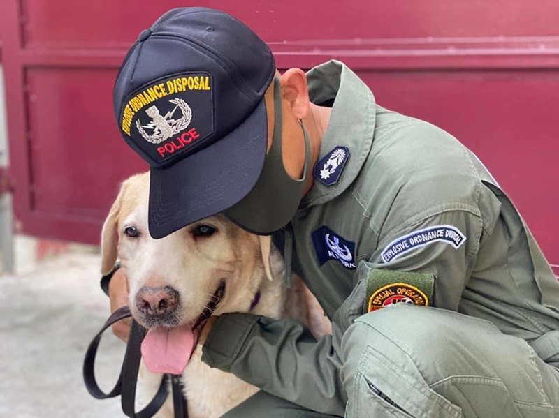สุนัขสืบหาระเบิด EOD K-9 สุนัขสืบหาระเบิด EOD K-9