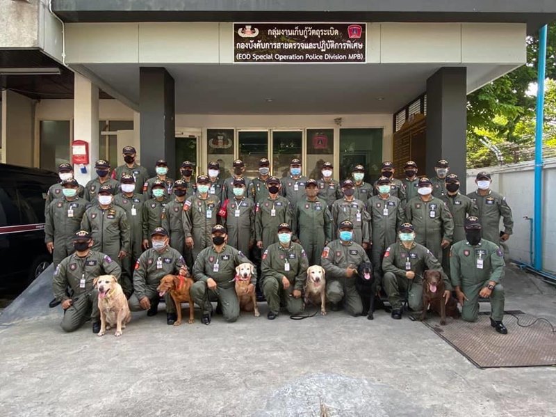 สุนัขสืบหาระเบิด EOD K-9 สุนัขสืบหาระเบิด EOD K-9