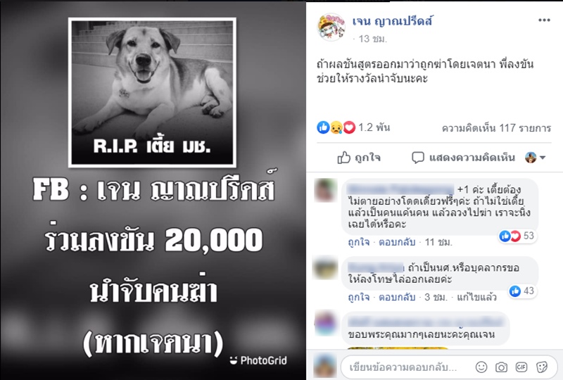 พี่เตี้ย มช พี่เตี้ย มช