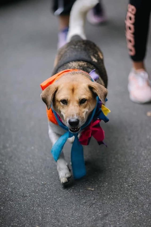 พี่เตี้ย มช พี่เตี้ย มช