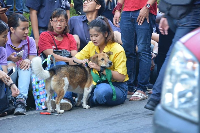 พี่เตี้ย มช พี่เตี้ย มช
