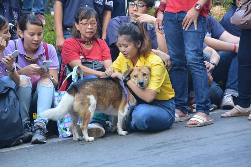 พี่เตี้ย มช พี่เตี้ย มช