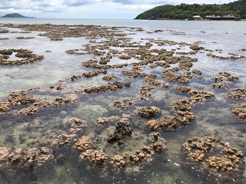 เกาะทะลุ เกาะทะลุ