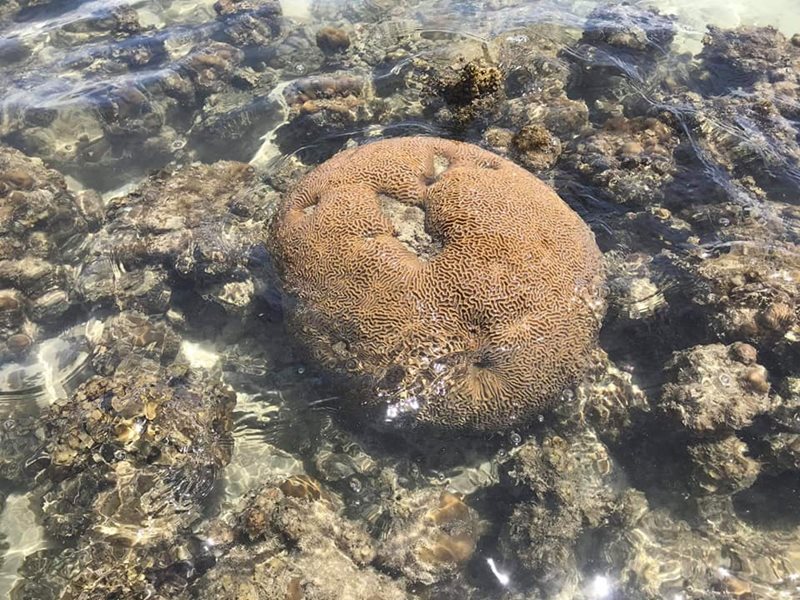 เกาะทะลุ เกาะทะลุ