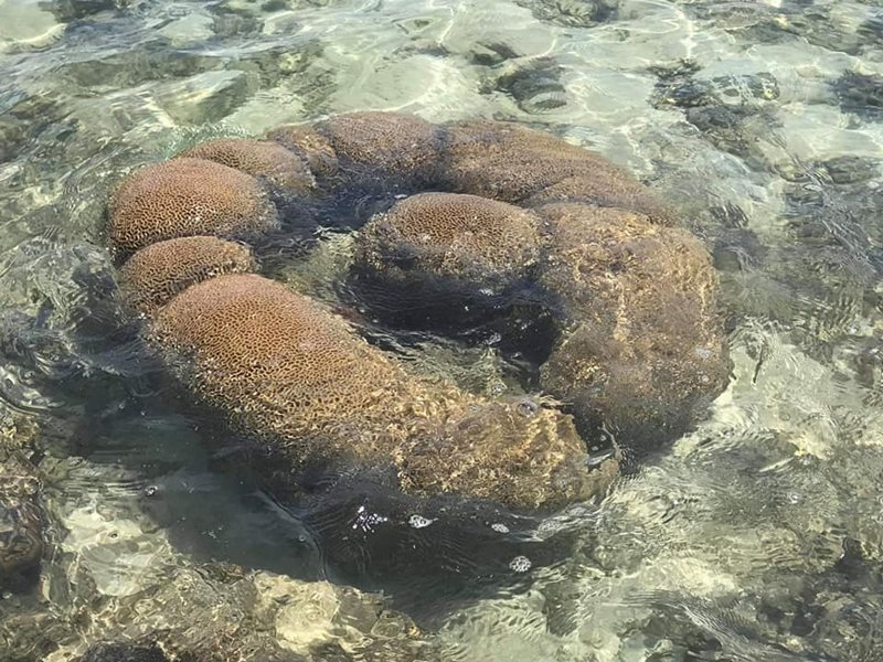 เกาะทะลุ เกาะทะลุ