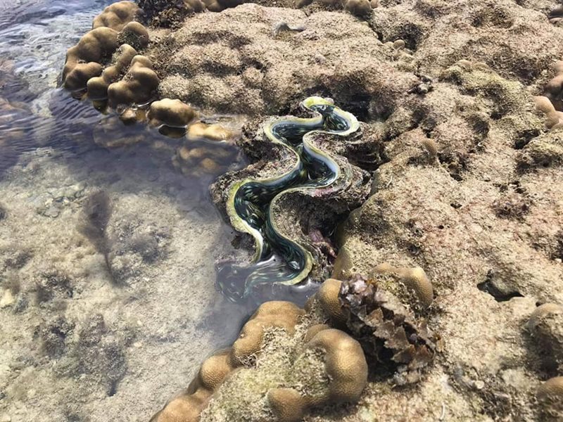 เกาะทะลุ เกาะทะลุ