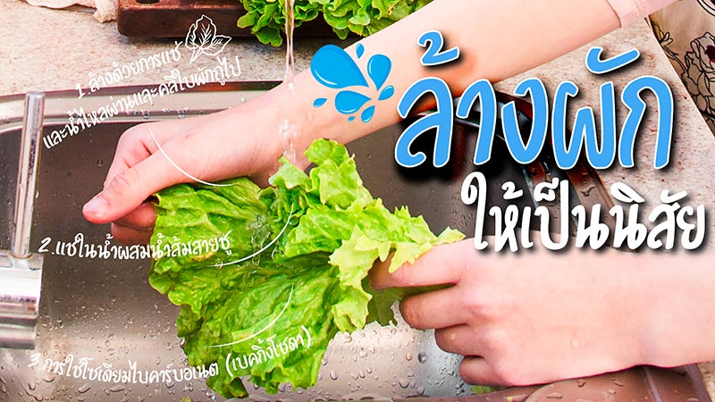 กินผักตามฤดูกาล ล้างผักให้เป็นนิสัย