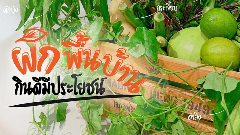 กินผักตามฤดูกาล ผักพื้นบ้านกินดีมีประโยชน์