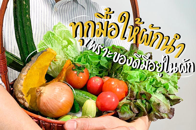 กินผักตามฤดูกาล กินผักนำยังไงให้ปลอดภัย แถมได้ประโยชน์