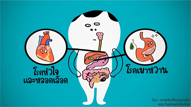 ประโยชน์ของผัก ประโยชน์ของผัก