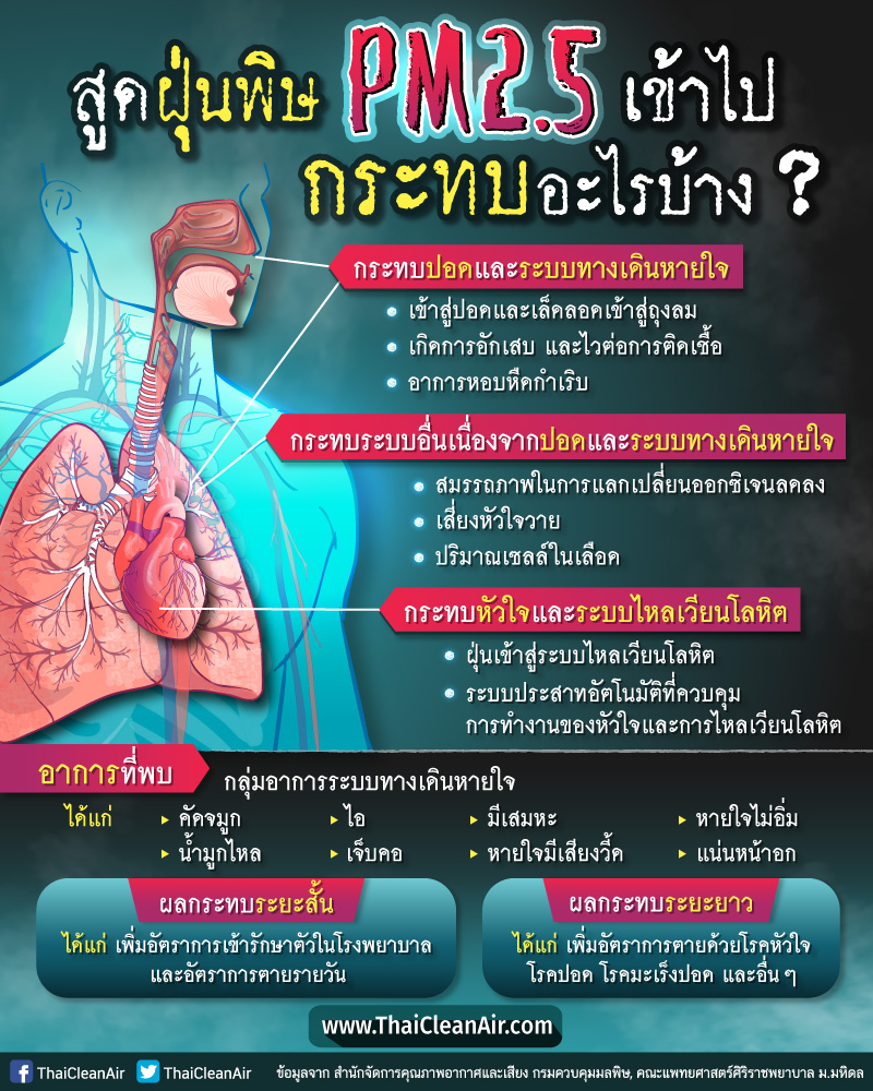 ฝุ่นpm2.5 ฝุ่นpm2.5