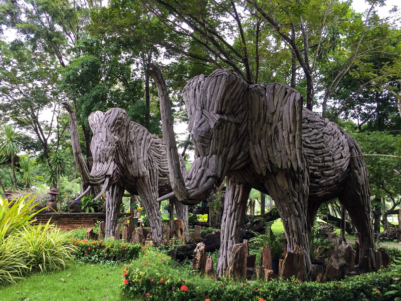 ที่เที่ยวนครปฐม วู้ดแลนด์ เมืองไม้