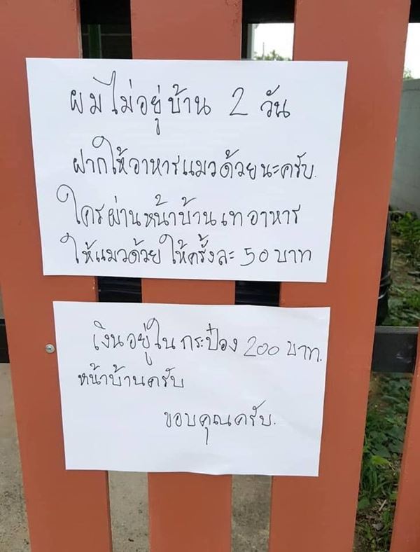 ทาสแมวไม่อยู่บ้าน ทาสแมวไม่อยู่บ้าน