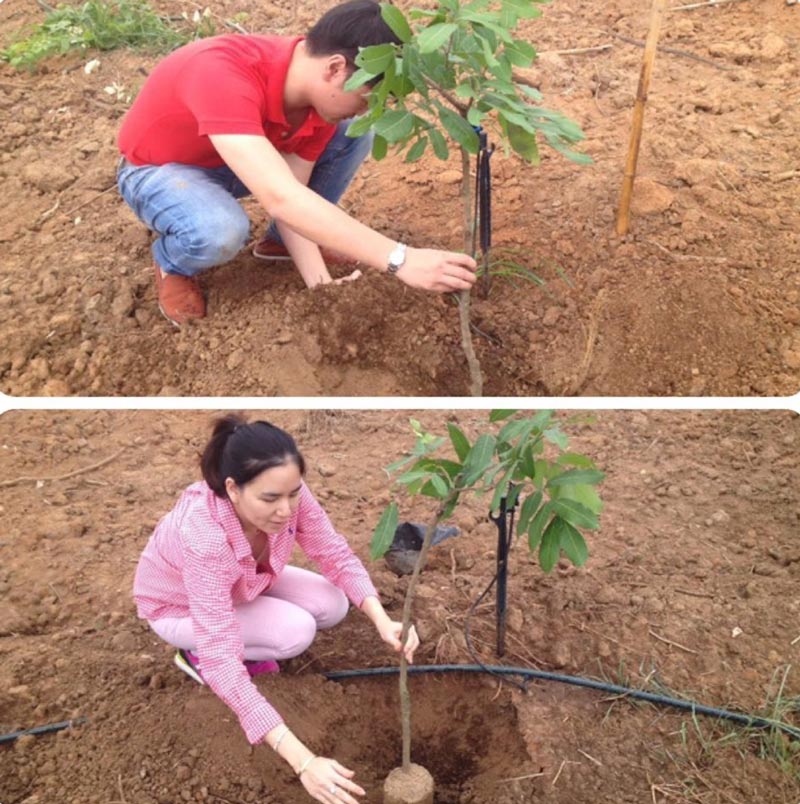 พลอย ชิดจันทร์ พลอย ชิดจันทร์