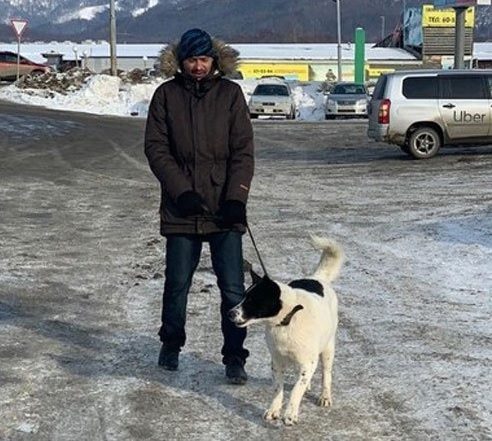 กินเนื้อหมา กินเนื้อหมา