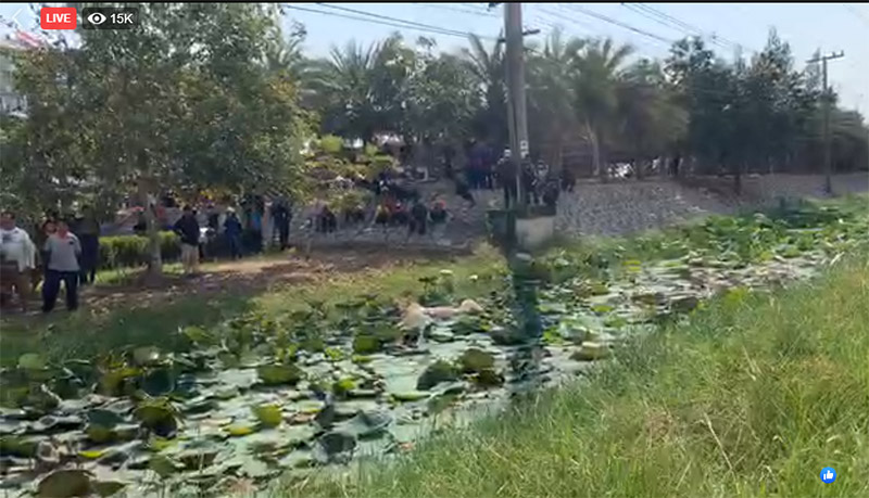 ยีราฟจมน้ำตาย ยีราฟจมน้ำตาย