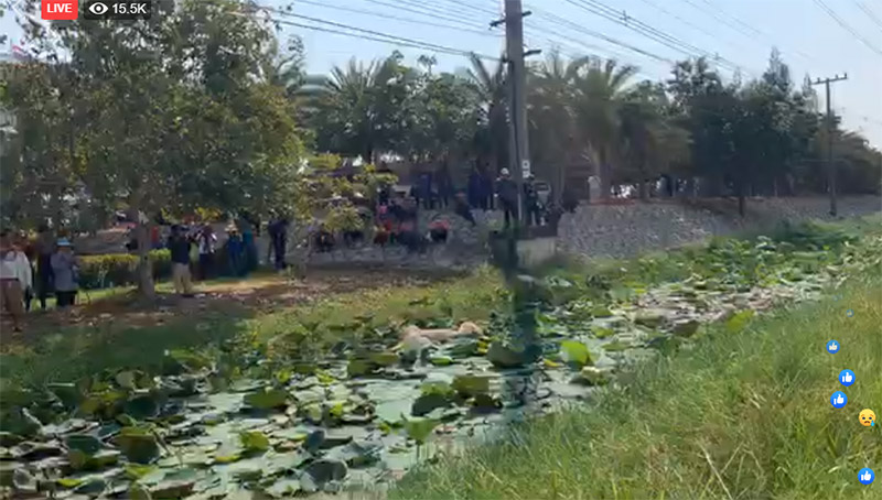 ยีราฟจมน้ำตาย ยีราฟจมน้ำตาย