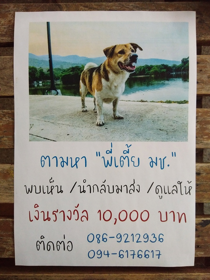พี่เตี้ยมช.หาย พี่เตี้ยมช.หาย