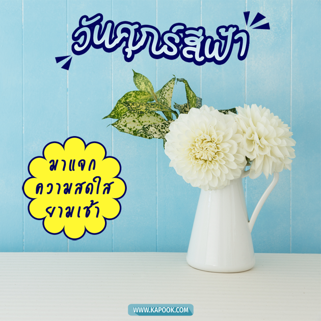 ดวงวันนี้ 11 ธันวาคม 2563 ดวงวันนี้ 11 ธันวาคม 2563