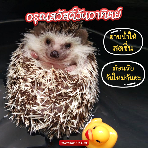 ดูดวงวันนี้ 19 กรกฎาคม 2563 ดูดวงวันนี้ 19 กรกฎาคม 2563