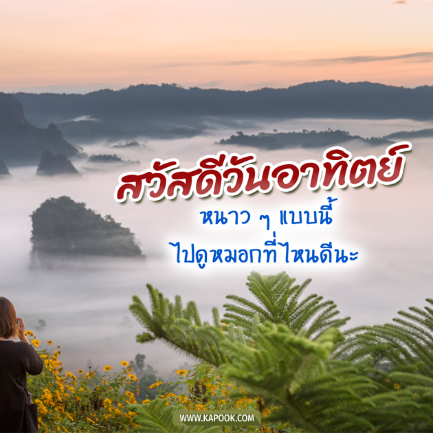 ดูดวงวันนี้ 22 พฤศจิกายน 2563 ดูดวงวันนี้ 22 พฤศจิกายน 2563