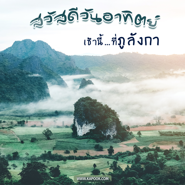 ดูดวงวันนี้ 8 พฤศจิกายน 2563 ดูดวงวันนี้ 8 พฤศจิกายน 2563