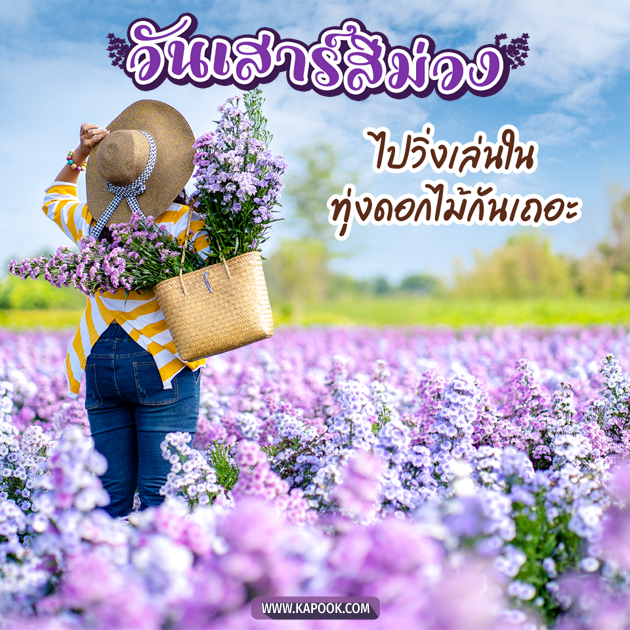 ดูดวงวันนี้ 24 ตุลาคม 2563 ดูดวงวันนี้ 24 ตุลาคม 2563