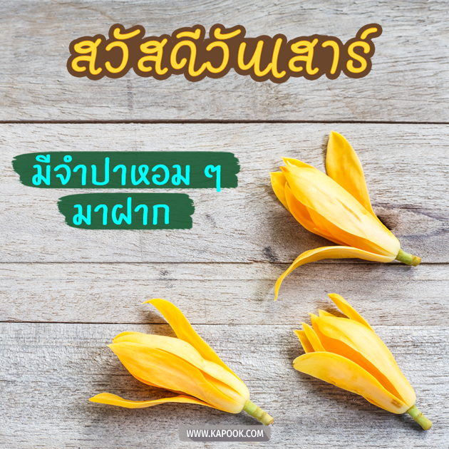 ดูดวงวันที่ 21 พฤศจิกายน 2563 ดูดวงวันที่ 21 พฤศจิกายน 2563