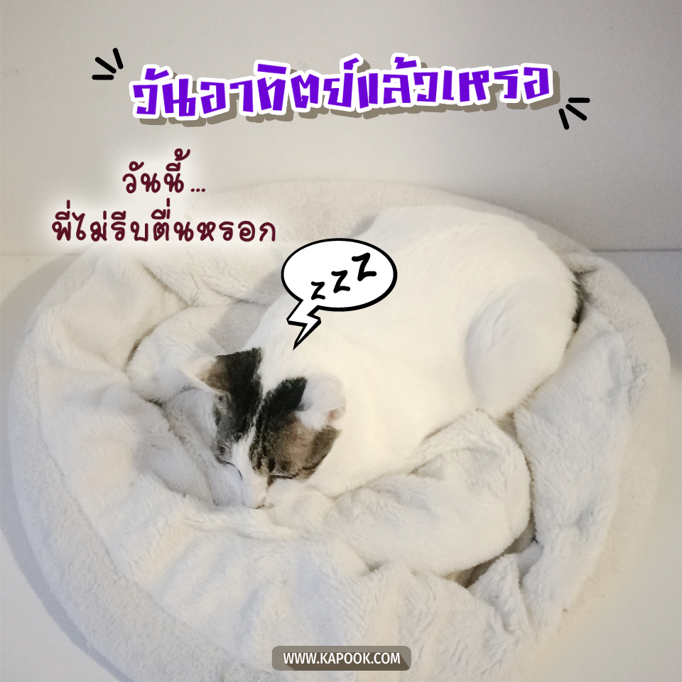 ดูดวงวันนี้ 24 พฤษภาคม 2563 ดูดวงวันนี้ 24 พฤษภาคม 2563