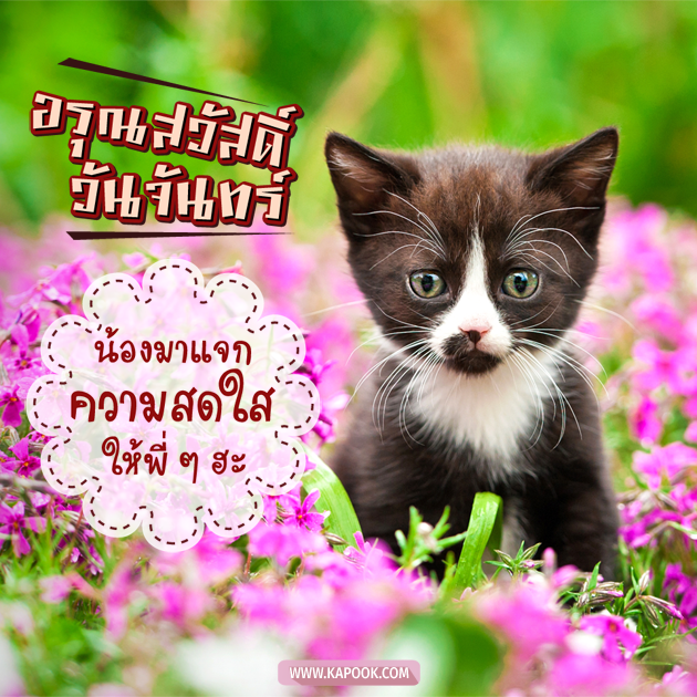 ดูดวงวันนี้ 27 กรกฎาคม 2563 ดูดวงวันนี้ 27 กรกฎาคม 2563