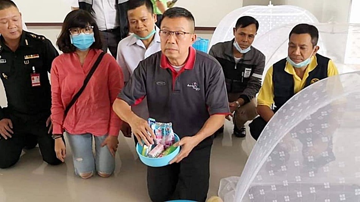 ผีน้อย ผีน้อย