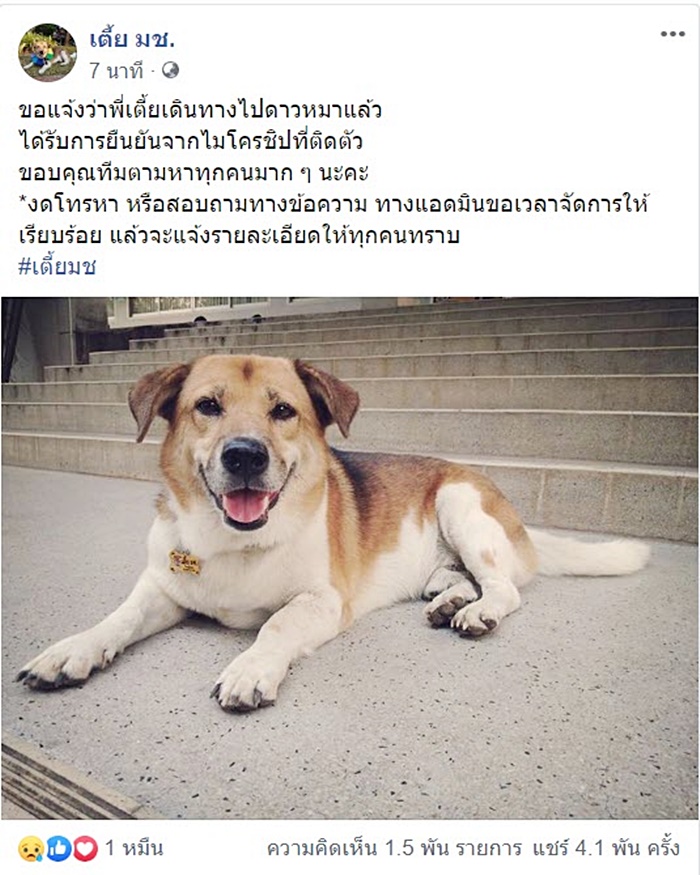 พี่เตี้ย พี่เตี้ย
